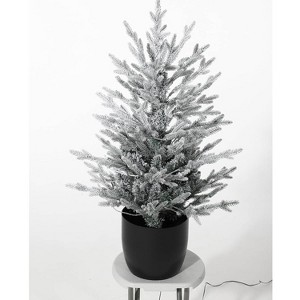 Clearance! 3 FT Pre-Lit Christmas Tree with LED Lights, Lifelike Branches, Tabletop Decor for Home/Office - 1 of 3