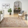 Nourison Petra Oramental Indoor Rug - 4 of 4