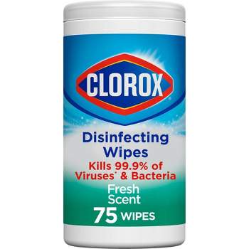 Clorox Fresh Scent Bleach Free Disinfecting Wipes