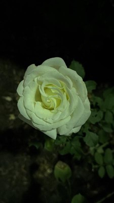 Guest review image 1 of 6, zoom in