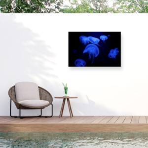 Trademark Fine Art - Jan Matussik Deep Sea Ballerina Matted Framed Art - 1 of 4