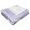 Disney Princesses Aladdin And Jasmine Silk Touch Throw Blanket 50x60 Inches - 3 of 4