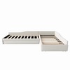 Whisen Upholstered Double Twin Size Daybed with Trundle and Drawer - 4 of 4