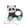 SARO Pull Along Animals: Developmental Walking Toys for Babies & Toddlers - Sensory & Motor Skill Development - 3 of 3