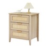 Acekool Rattan Nightstand, 3 Drawer Boho Bedside Table, Modern Storage, Wood Legs, for Bedroom or Living Room, Natural - 2 of 4
