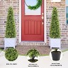 COWLOWN 4FT Artificial Topiary Trees, Set of 2 - 36 Inch Faux Boxwood, UV Resistant Evergreen Shrubs for Outdoor Planters, Front Porch & Patio Decor - 4 of 4