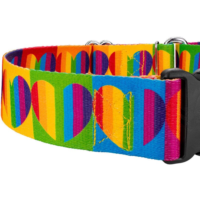 Country Brook Petz 1 1/2 Inch Rainbow Hearts Martingale w/Deluxe Buckle Dog Collar, 5 of 6