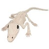 Morris Costumes 13 1/2" Crocodile Skeleton Halloween Decoration - 2 of 2