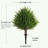 2-Pack Realistic Artificial Cedar Topiary Trees with Stakes 23.6" Faux Shrubs Outdoor Indoor for Porch Patio Home Decor Low Maintenance - 2 of 4