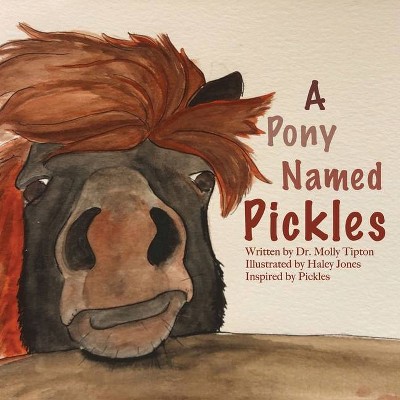 A Pony Named Pickles - by  Molly Tipton (Paperback)