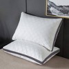 Dr pillow  Sepoveda Pillow Cases set of 2 - 3 of 4