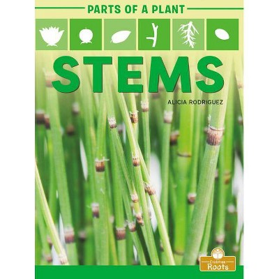 Stems - (Parts of a Plant) by  Alicia Rodriguez (Paperback)