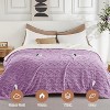Heated Blanket, Soft Washable Electric Blanket, Heating Blanket for Bedding, With 10 Heat Settings, Sofa and Bed - 2 of 4