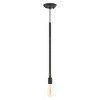 Livex Lighting Prague 1 - Light Pendant in  Black - 3 of 4