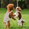 Unique Bargains Female Dog Period Diapers Washable Reusable with Adjustable Suspender - 3 of 4