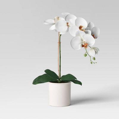Orchid in White Pot - Threshold™