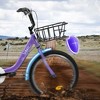 Grungis Mountain Kids Bike for Boys & Girls with Chain Guard & Rear Rack,1-Speed Children's Bicycle with Coaster Brake & V-Brake - 4 of 4