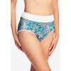 Comfort Choice Women's Plus Size Full Coverage Stretch Cotton Color Block Brief 3-Pack - 3 of 4