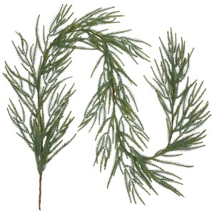 Northlight Norfolk Pine Artificial Christmas Garland - 7' - Unlit - 1 of 4