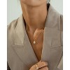 Bearfruit Jewelry Sterling Silver 18k Gold Plated Leah Crystal Teardrop Necklace - 4 of 4