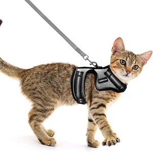rabbitgoo Cat Harness and Leash for Walking, Escape-Proof No Choke Reflective Vest Harnesses for Small Cats, Outdoor Activity, Grey, M - 1 of 1