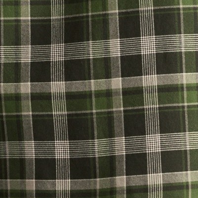 plaid fern