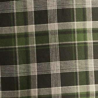 plaid fern