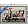 Trends International IT: Welcome to Derry (2025) - Greetings From Derry Framed Wall Poster Prints - 3 of 4