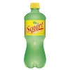Squirt Soda - 20 fl oz Bottle - image 2 of 4