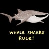 Girl's Design By Humans Whale Sharks Rule! By SophieCorrigan T-Shirt - 2 of 3