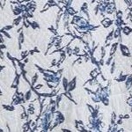 white blue bird