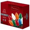 Celebrations Incandescent C9 Multicolored 25 ct String Christmas Lights 24 ft. - 3 of 3