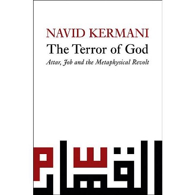 Terror of God - by  Navid Kermani (Paperback)