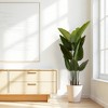 ACEPANO 63 in. H 2-Piece Artificial Tropical Palm Tree Plant for Indoor/Outdoor Home and Office Decor-Green - 4 of 4