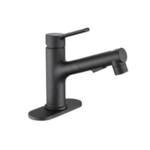 ChicFurnit Bathroom Sink Faucet Pull Out Sprayer Single Handle Faucet with Pop Up Sink Drain for Sleek Bathrooms, Black, 17"*10"*4" - 1 of 4