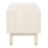 Aino 2 Door Media Stand - MED9619 - Safavieh - 4 of 4