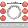 Kraft Lane: 18" Painted Grapevine Wreath, Cream, DIY Craft Projects, Handcrafted - 2 of 4