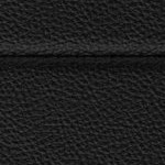 florida state seminoles