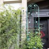 Aghana Digitals 2-Pack 86.7"x19.7" Rustproof Metal Garden Trellis for Climbing Plants - Light Green - 2 of 4