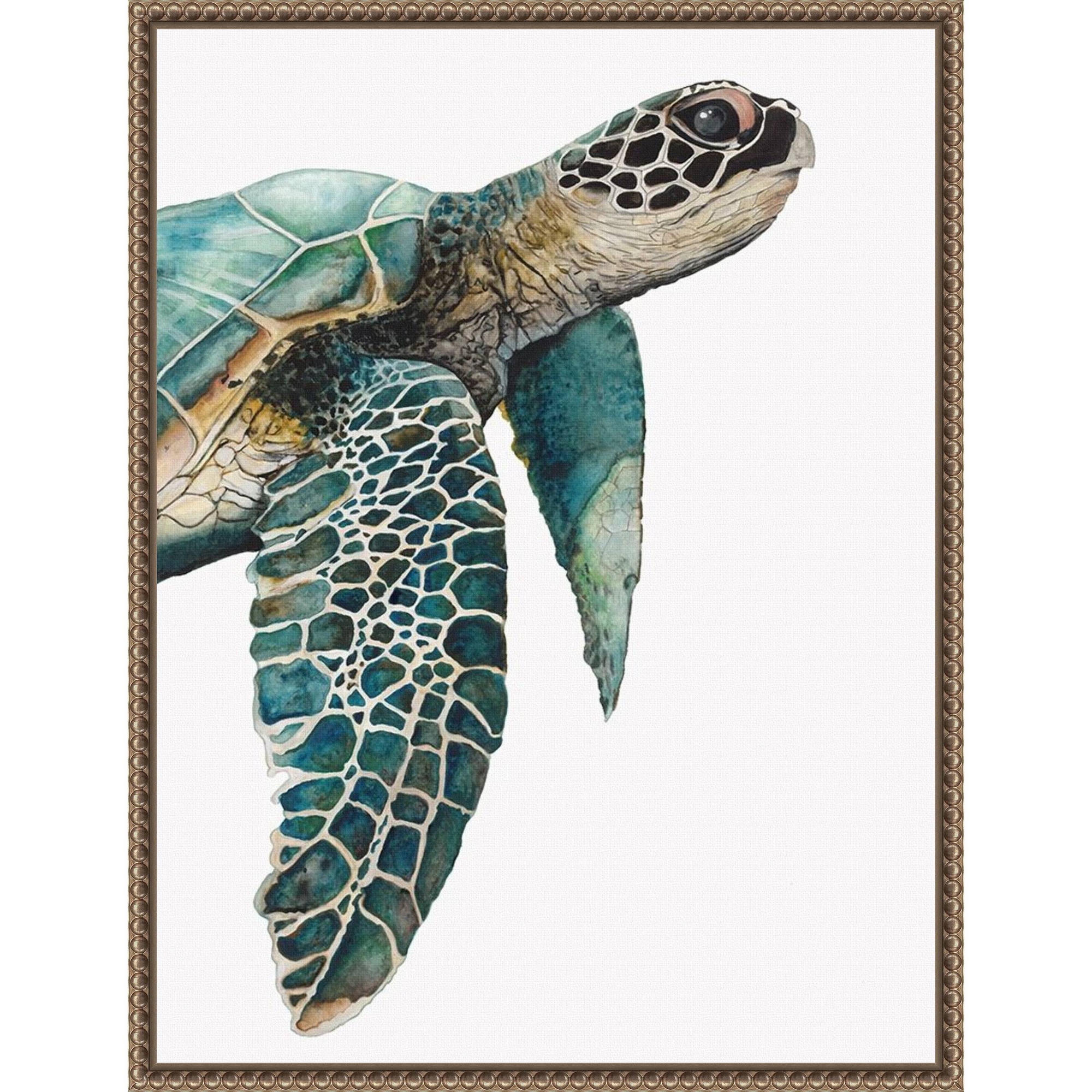 Amanti Art 18"x24" Great Sea Turtle by Jodi Hatfield Framed Canvas Wall Art Print