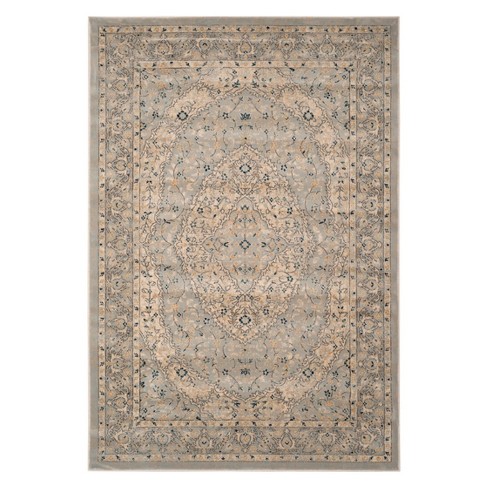 Remis Floral Loomed Area Rug - Safavieh : Target