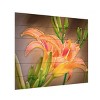 Trademark Fine Art Leslie Montgomery A Gift From The Orient Wood Slat Art - 2 of 4