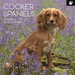 2026 Square Wall Calendar, Cocker Spaniels, 16-Month Paw Prints Theme with 180 Reminder Stickers (12x12 In) - 1 of 4