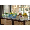 SpassWay 8" Dia Outdoor Indoor Ceramic Planter Pot Decorative Planter with Drainage Hole Patio Flower Pot - 3 of 4