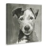 Stupell Industries Muted Dog with Quiet Expression, 36" x 36" - 3 of 4