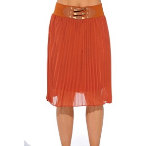 Just Love Skirts / Pleated Skirt - 1 of 2