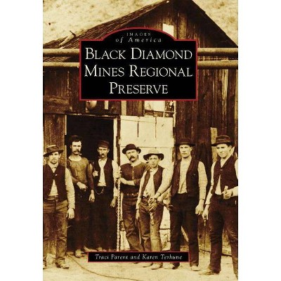 Black Diamond Mines Regional Preserve - (Images of America (Arcadia Publishing)) by  Traci Parent & Karen Terhune (Paperback)