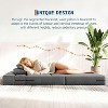 GAOMON 4-in-1 Folding Sofa Bed & Sleeper Chair,Convertible Fold Out Loveseat with Pillow, Tufted Floor Lounge for Home, Dark Grey - 2 of 4