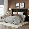 Velvet Upholstered Bed with Wingback Headboard, No Box Spring Needed - 3 of 4