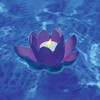 Swimline HydroTools Swimming Pool or Spa Floating Flower Candle Light 7.5" - Blue - 2 of 4